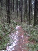 12.23.05 Elowah Falls 011 